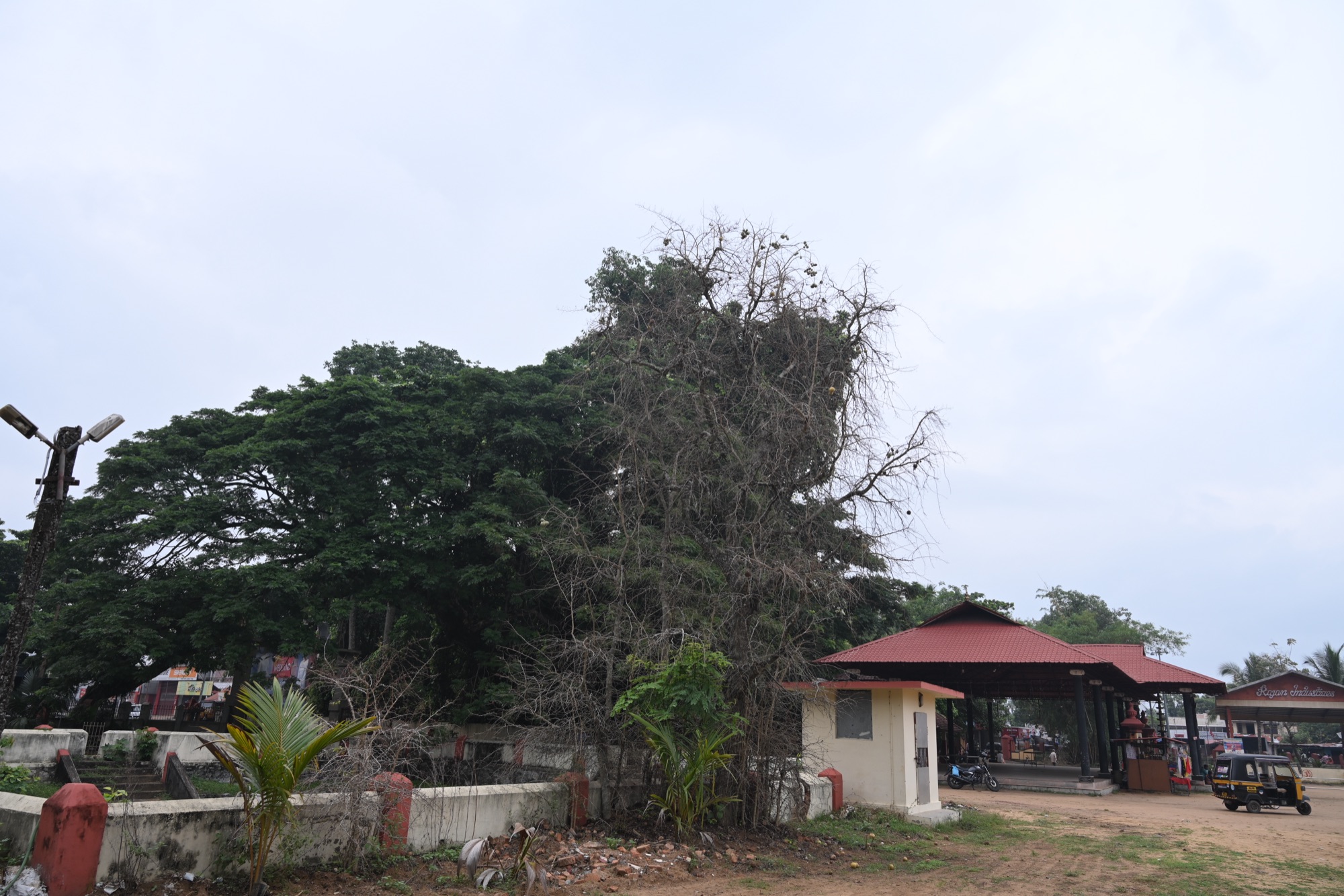 കുവളം